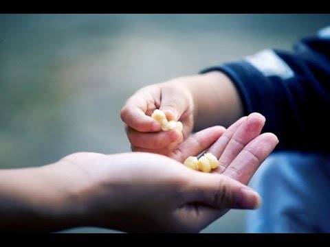 Luật đời Luật đời