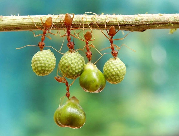 Danh ngôn hay về tính kiên trì Danh ngôn hay về tính kiên trì