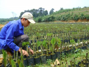 VRG chú trọng công tác nông nghiệp