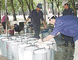 Cảnh báo từ việc mủ cao su rớt giá