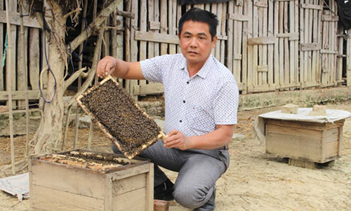 Nuôi ong mật và hươu sao kiếm 600 triệu đồng mỗi năm