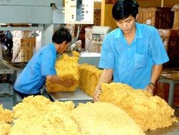 Xuất khẩu cao su tiếp tục bứt phá mạnh mẽ