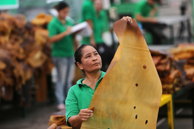 Giá cao su Việt Nam 23/4/2015