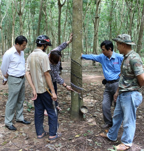 Khô miệng cạo không còn là “bệnh nan y”