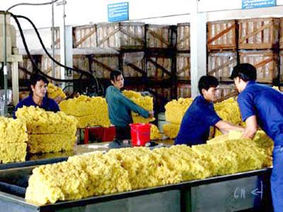 Giá cao su tăng tiếp 1,2% do kỳ vọng tăng giá dầu