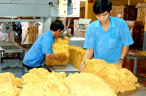 Nửa đầu năm 2011: Xuất khẩu cao su tăng 90%