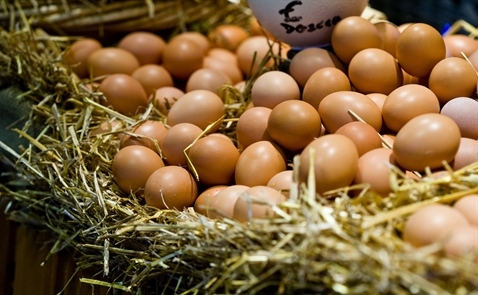 Đại gia Nhật muốn chen chân vào thị trường trứng Việt Nam